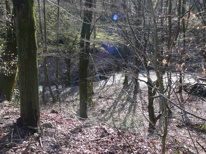 ملف:Wuppertal Vogelsangstr 0033.jpg