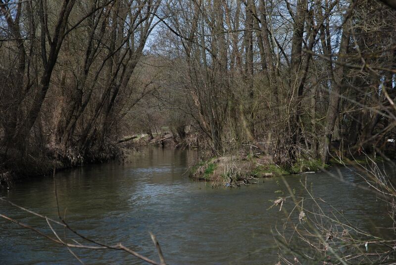 ملف:Ilz fluss mit feistritz.JPG