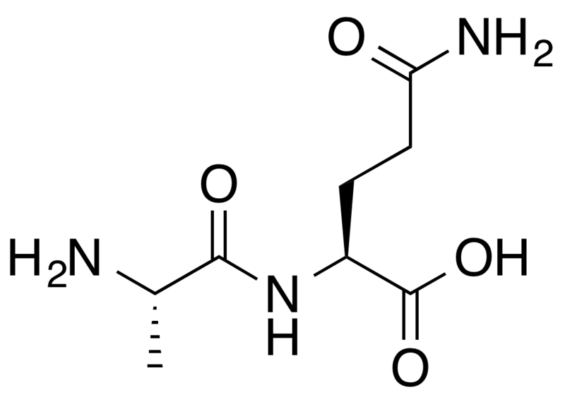 ملف:L-Alanyl-L-glutamine.png
