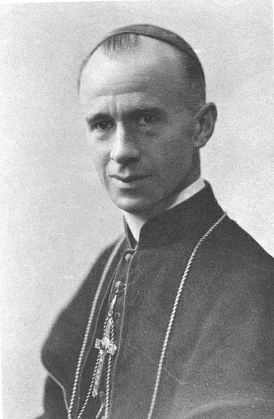 ملف:Mgr Napoléon-Alexandre Labrie.jpg