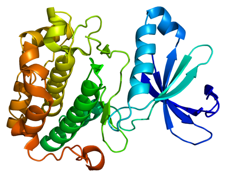 ملف:Protein PDPK1 PDB 1h1w.png
