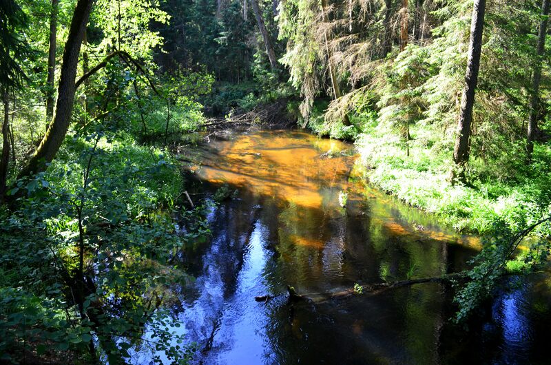 ملف:Ratnyčios upelis už Kermušijos.JPG