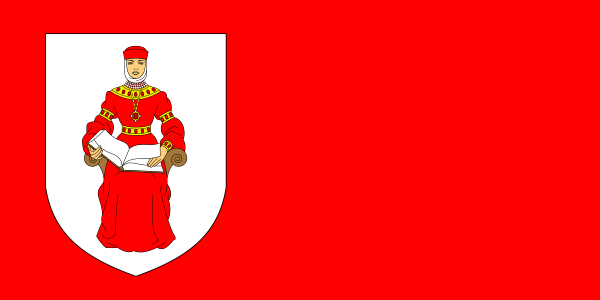 ملف:Flag of Iŭje.svg