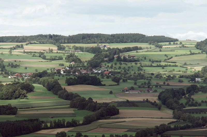 ملف:Lieli 001.jpg