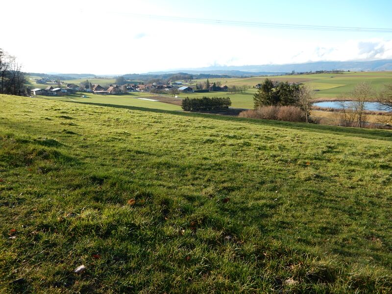 ملف:Lobsigen und Lobsigensee.jpg
