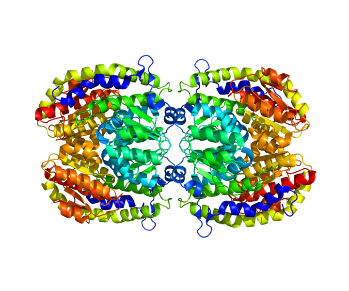 ملف:Protein GFPT1 PDB 2V4M.png