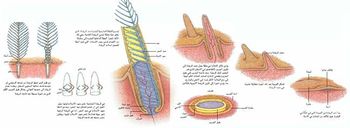 SCI2003b19N10 H05 002622.jpg