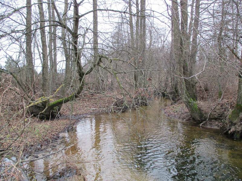 ملف:Залатая рэчка.JPG