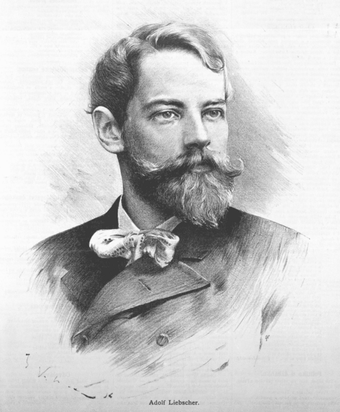 ملف:Adolf Liebscher 1887 Vilimek.png