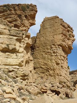 جلال خنشلة 1.JPG