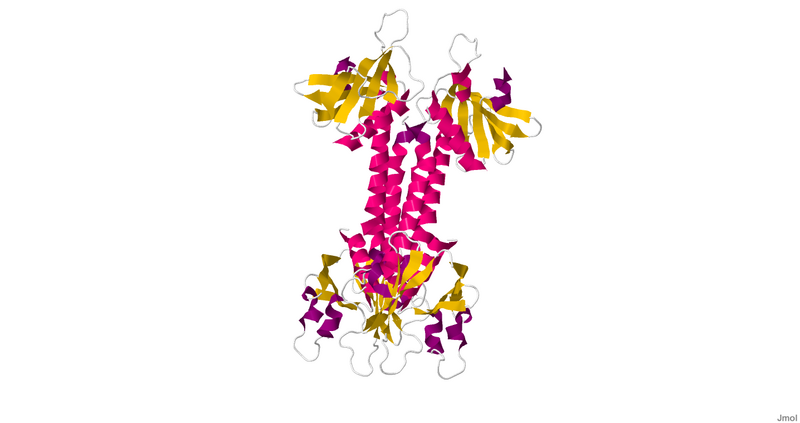 ملف:2VSZ.pdb1.png