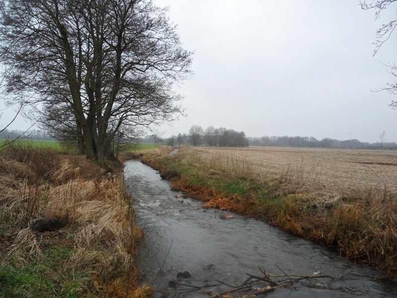 ملف:Aalbek bei NMS.jpg