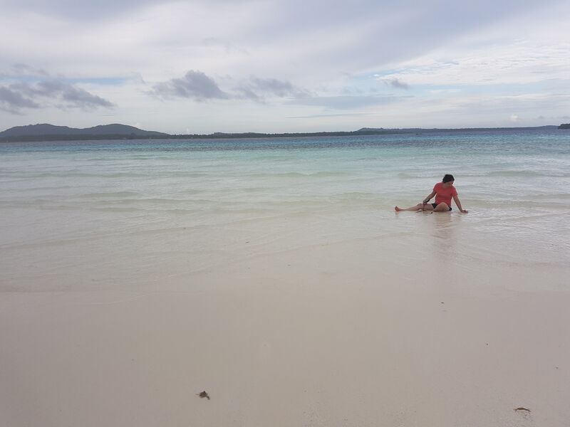 ملف:Benlen Sandbar of Balabac.jpg