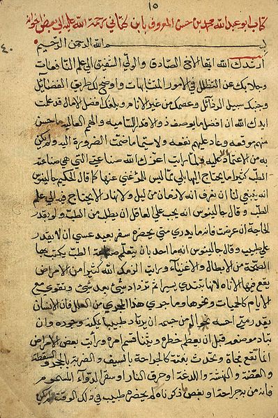 ملف:Tratado médico de Al-Katanni.jpg