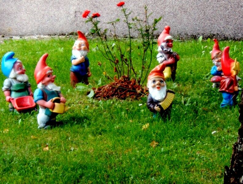 ملف:7 garden gnomes.jpg