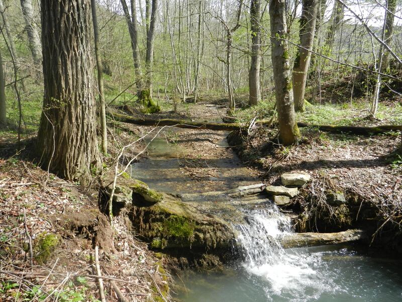 ملف:Reichenbach (Starzel)1.JPG