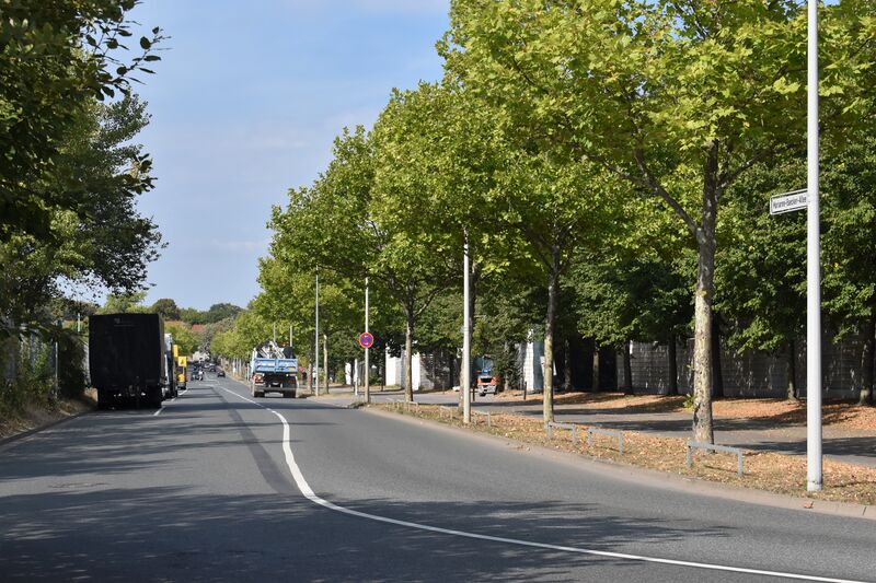 ملف:2022-09-05 Marianne-Baecker-Allee 03.JPG