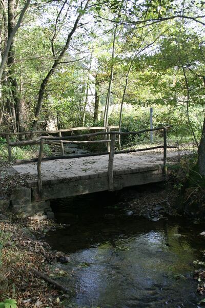 ملف:Diglette St-Michel 1.JPG