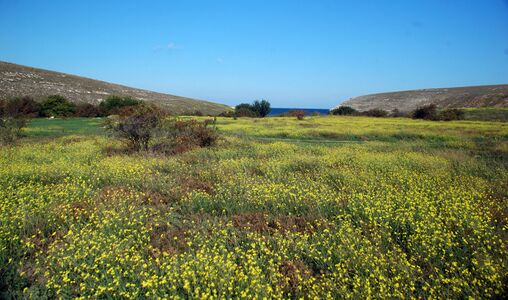 خليج ماليي قبچاق