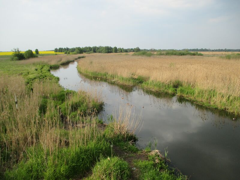 ملف:Dzitva River.JPG