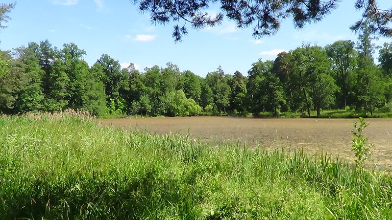 ملف:Petergof june2013 22070.JPG