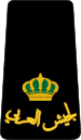 11. JLF-MAJ.svg