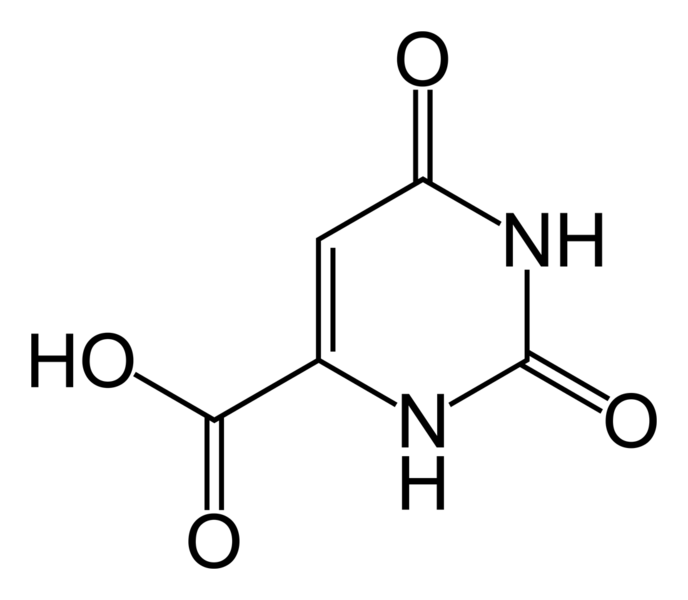 ملف:Orotic-acid-2D-skeletal.png
