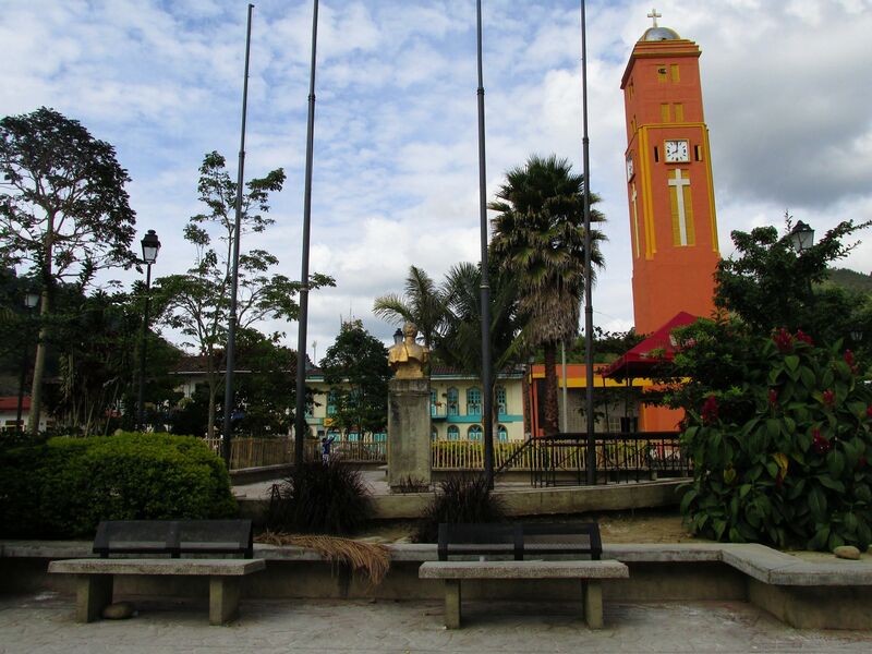 ملف:Pijao Ene 2016 (56).JPG