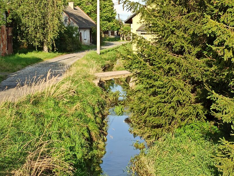 ملف:Potoczyna, Szybowice 2020.09.03 02.jpg