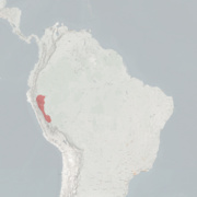 خريطة النطاق