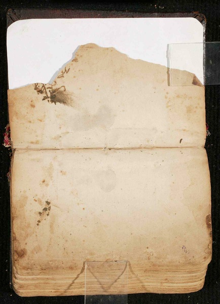 ملف:The Book of the Interpreter WDL7083.pdf