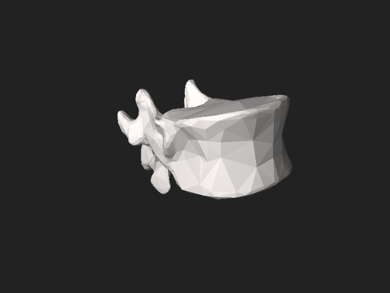 ملف:BodyParts3D FJ3156 Twelfth thoracic vertebra.stl