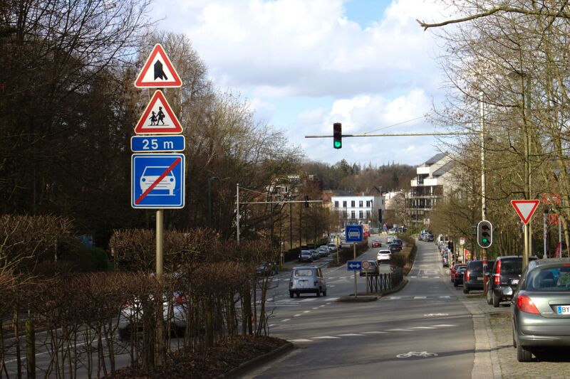 ملف:Brusel, Vorsterielaan.jpg