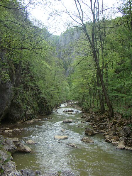 ملف:Varghis in Chei.jpg