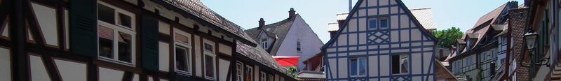 ملف:Weinheim Wikivoyage Banner.JPG