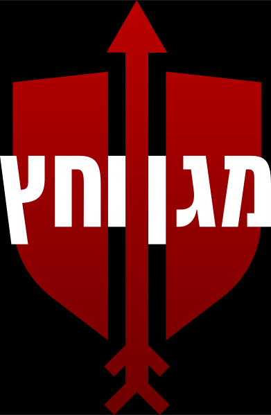 ملف:לוגו מבצע "מגן וחץ".svg