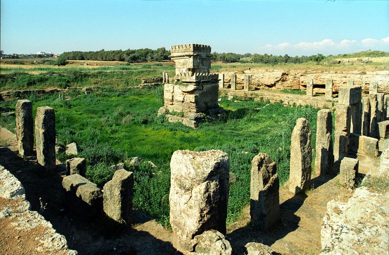 ملف:Amrit01.jpg