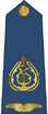 Iraq Army Ranks .25.jpg
