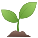 ملف:Noto Emoji Oreo 1f331.svg