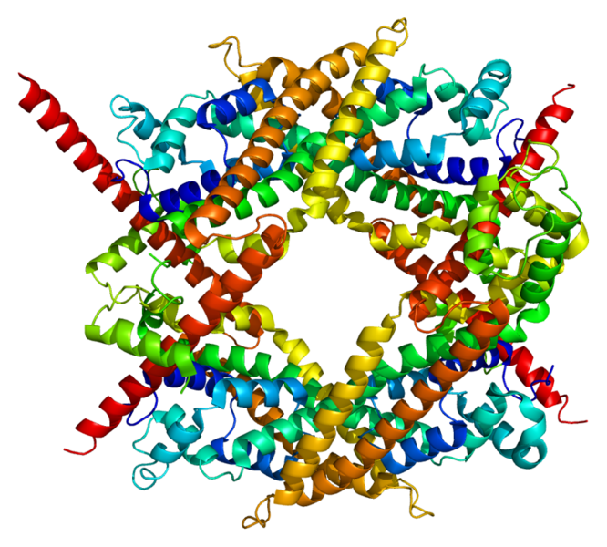 ملف:Protein DIAPH1 PDB 1v9d.png