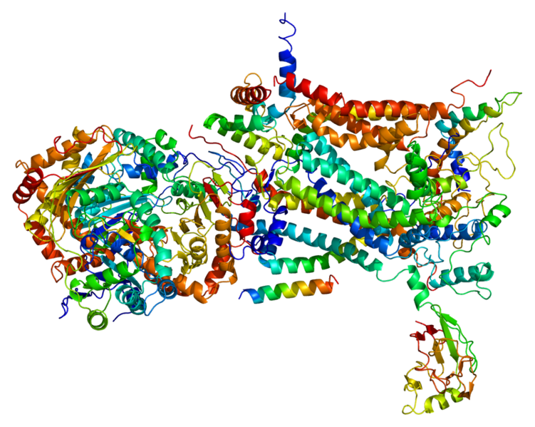 ملف:Protein UQCRFS1 PDB 1be3.png