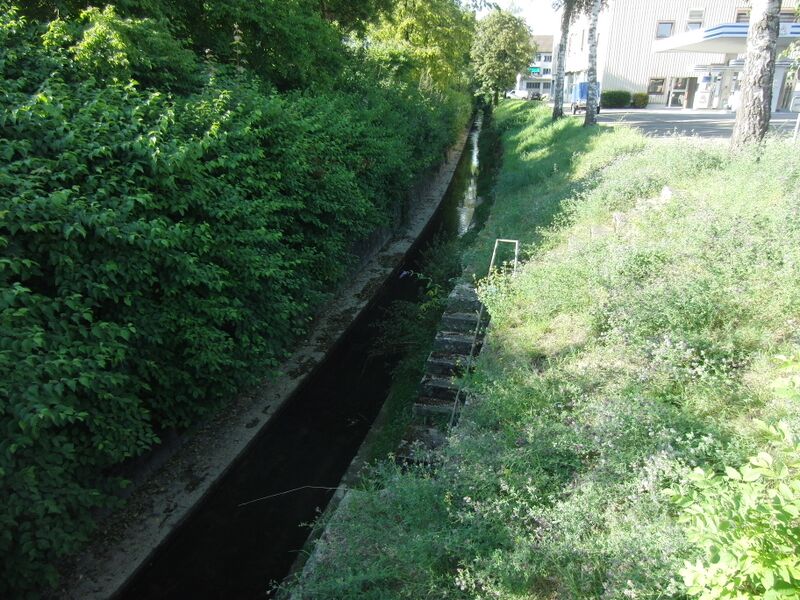 ملف:Riedbach Oberwinterthur.JPG