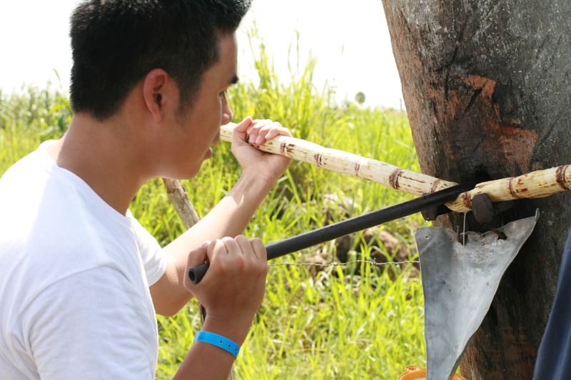 ملف:Sugarcane drink.JPG