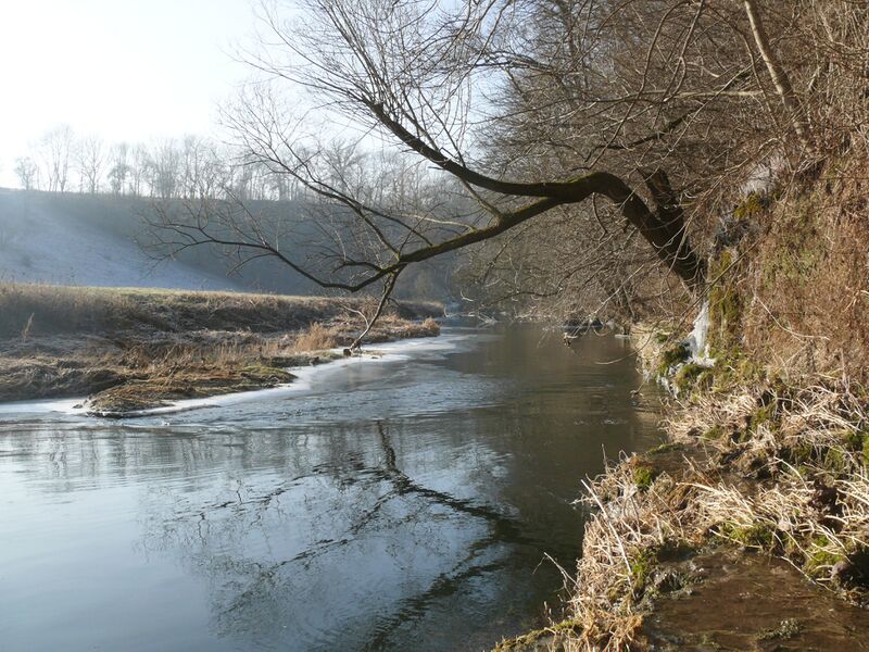 ملف:Bühler 251207.jpg