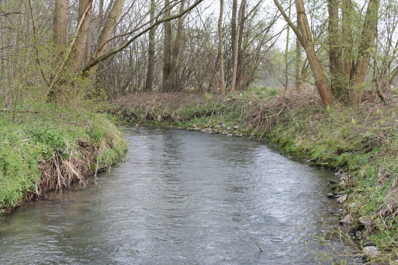 ملف:Erlenbach Sulm 20070407 2.jpg