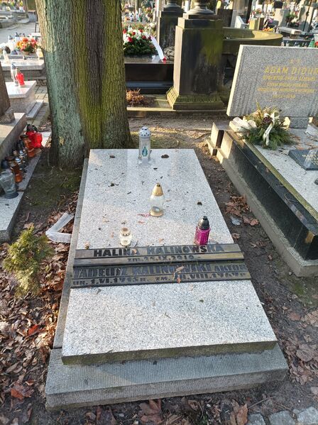 ملف:Grób Tadeusza Kalinowskiego Katowice.jpg