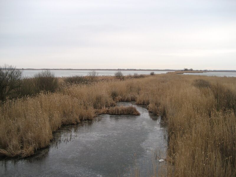 ملف:Hortobagy 3.JPG