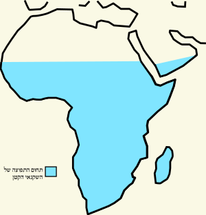 Pelecanus rufescens map.svg