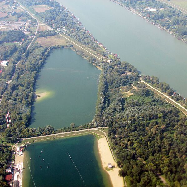 ملف:Ада циганлија, таложник.jpg