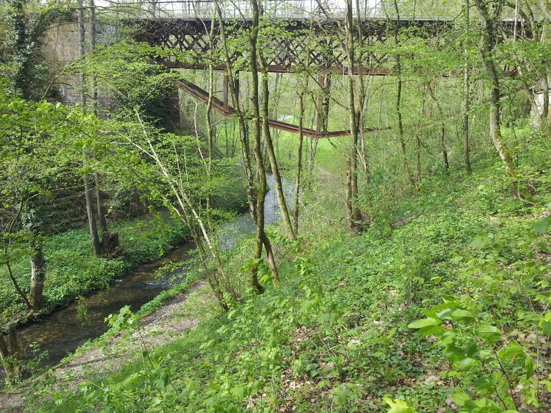 ملف:Buchenbachtal Eisenbahnbrücke.jpg